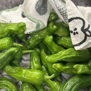 dry grilled shishito peppers