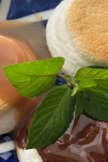 Toasted marshmallows