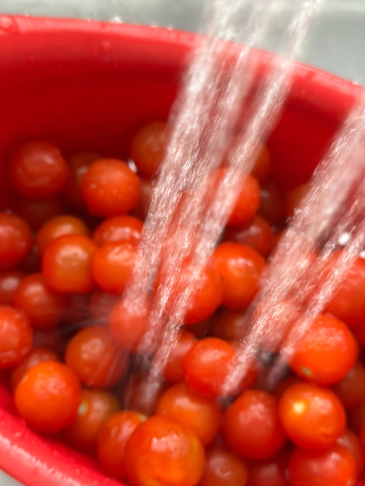 IMG_4105 wash tomatoes