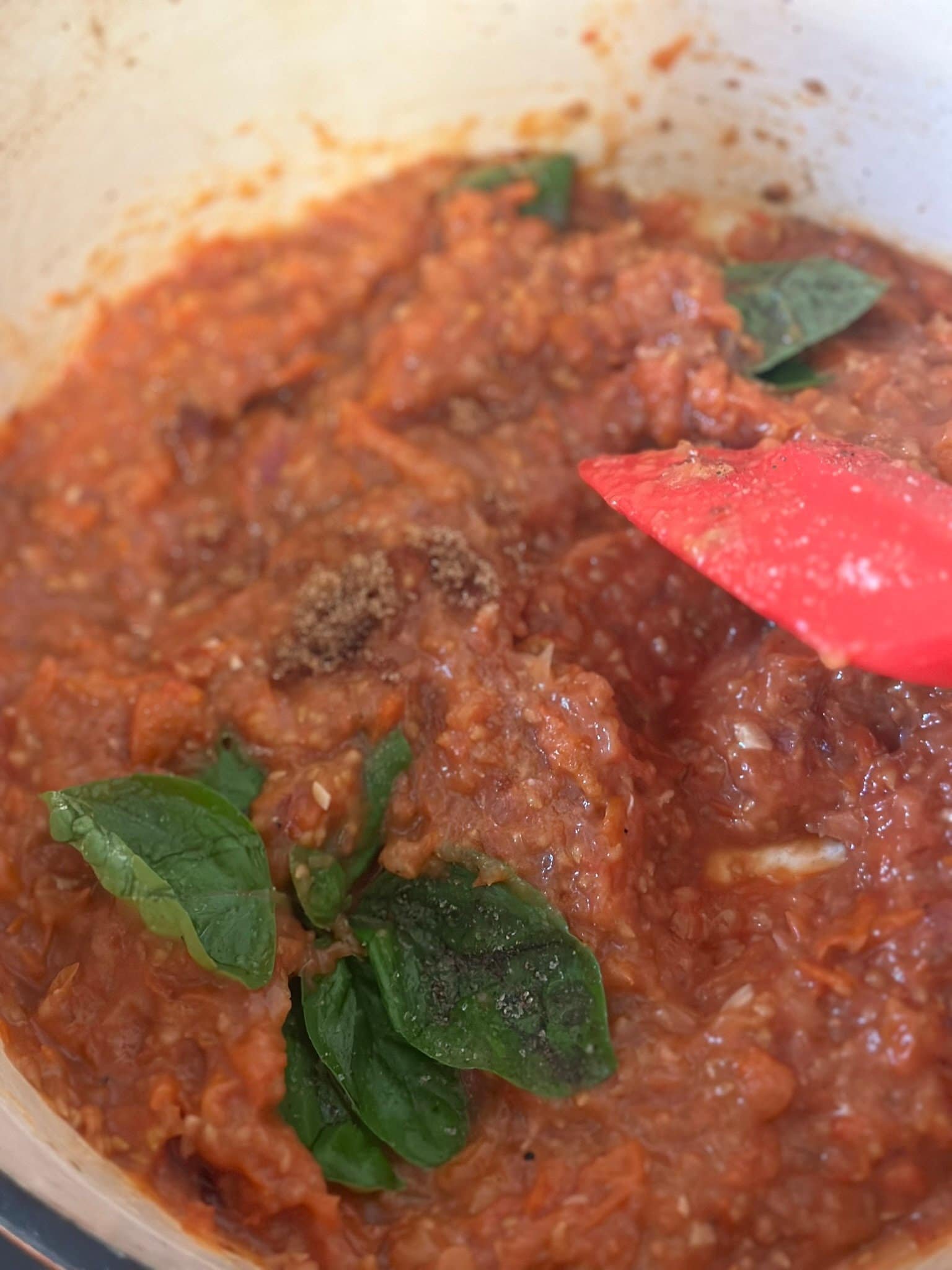 IMG_4132 cooked tomato sauce in Dutch oven