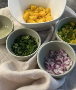 IMG_4383 fiesta mango salsa ingredients