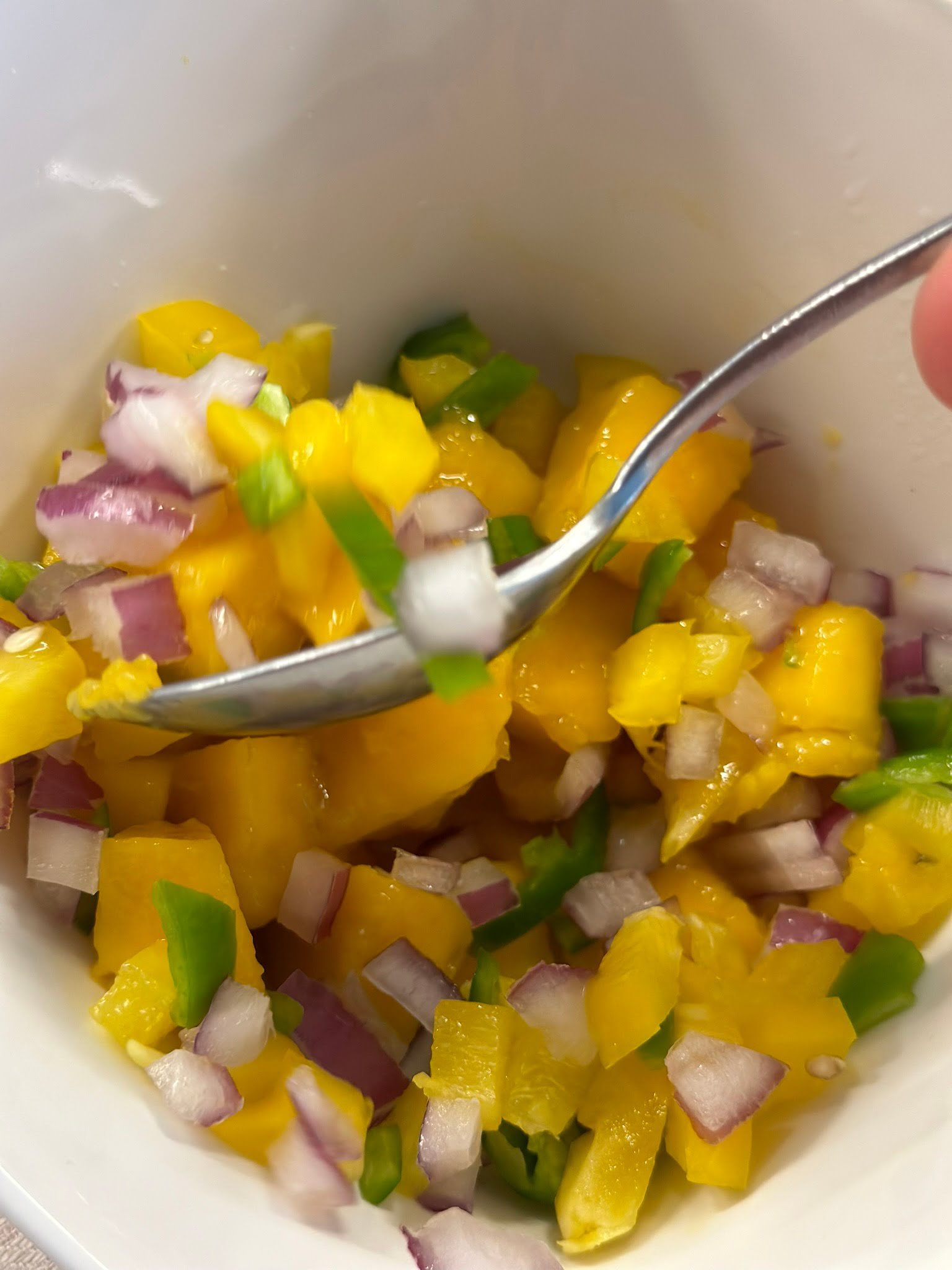Fiesta Mango Salsa mix the salsa