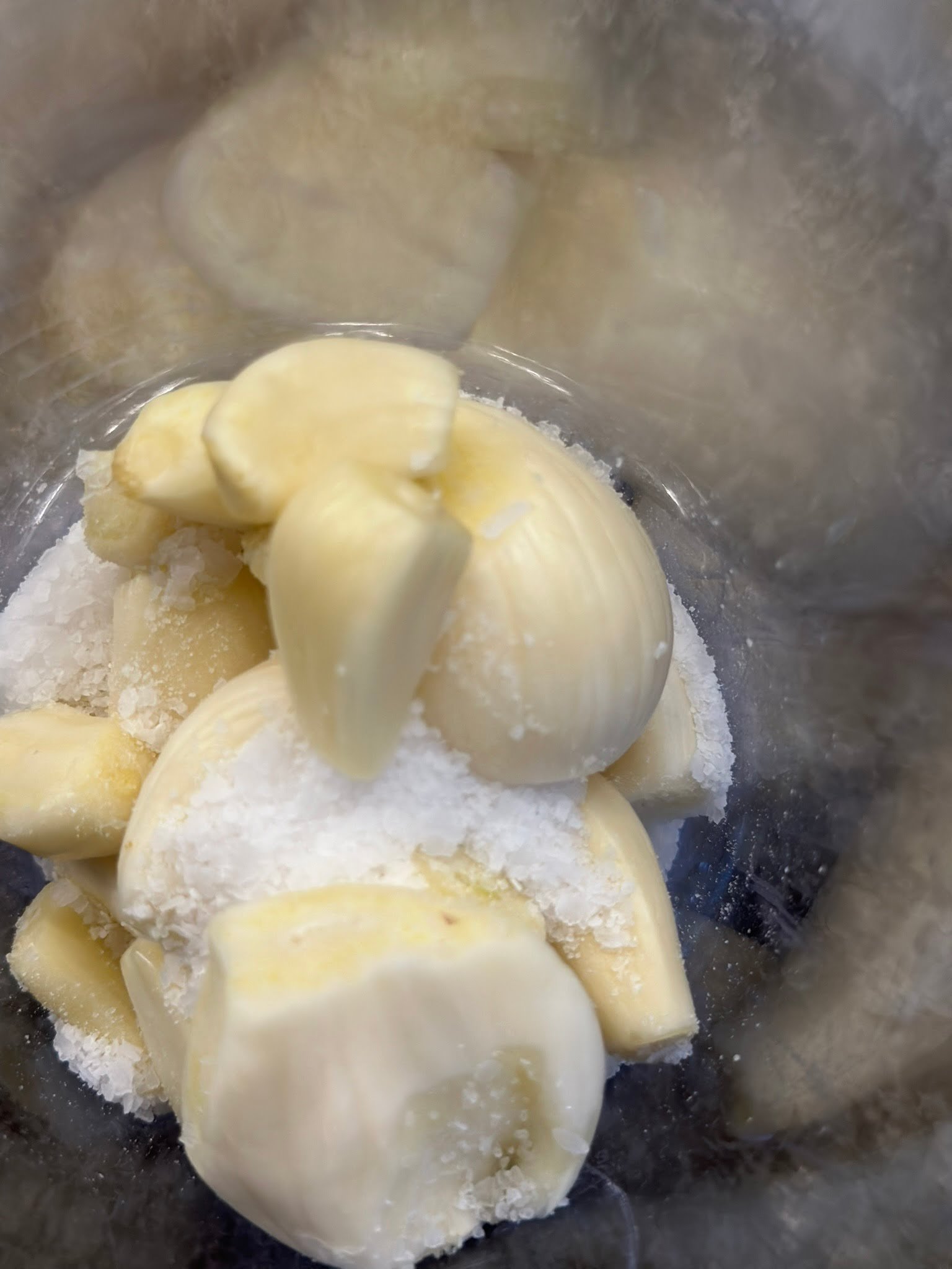 garlic and salt garlic and salt