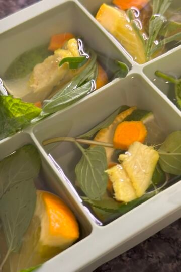 fancy flavored ice cube trays