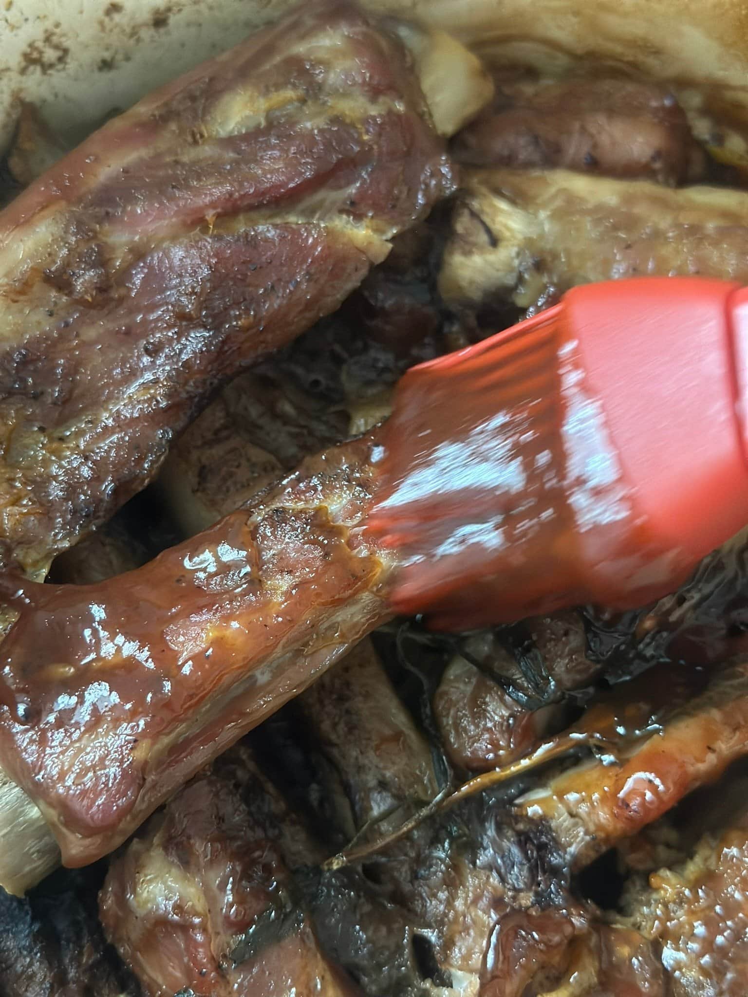 IMG_4501 glazing ribs