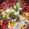 the best shakshuka