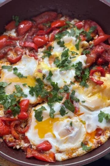 the best shakshuka