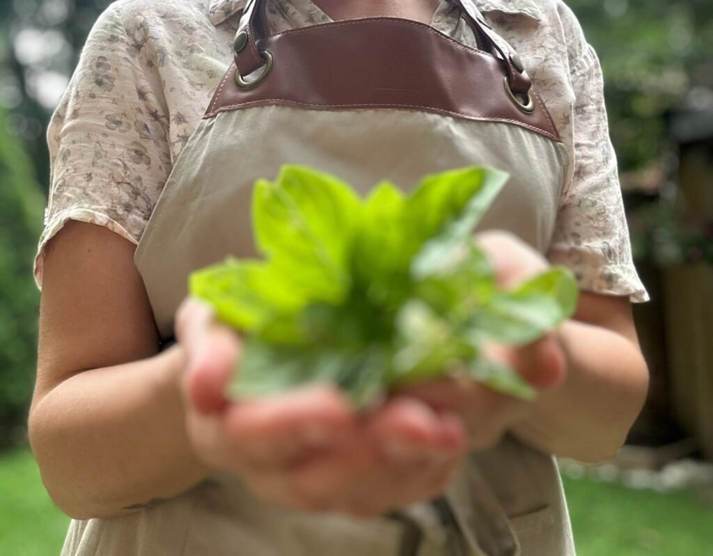biba in the garden with herbs