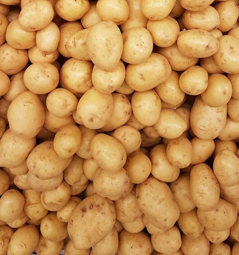 rodrigo dos reis h3AkzboxK4Q unsplash scaled e1730692160297