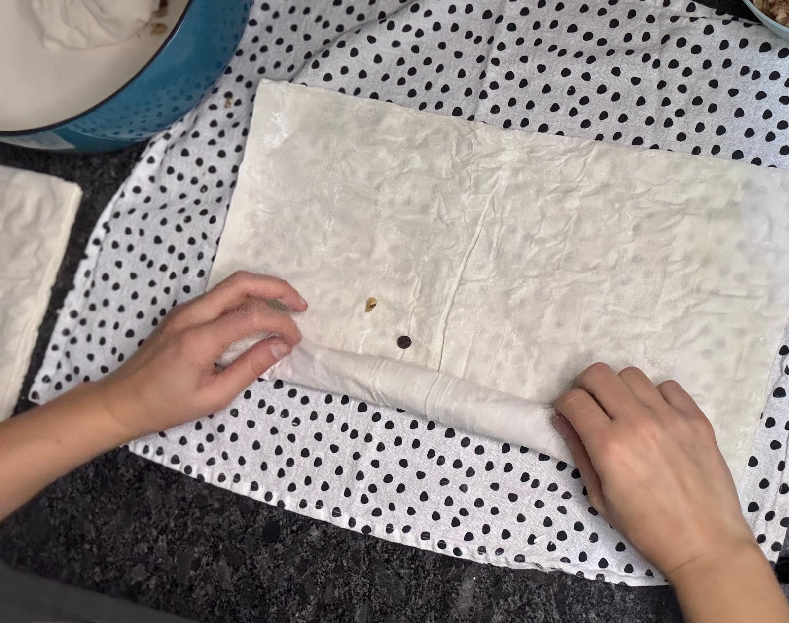 IMG_8002 roll the phylo sheets