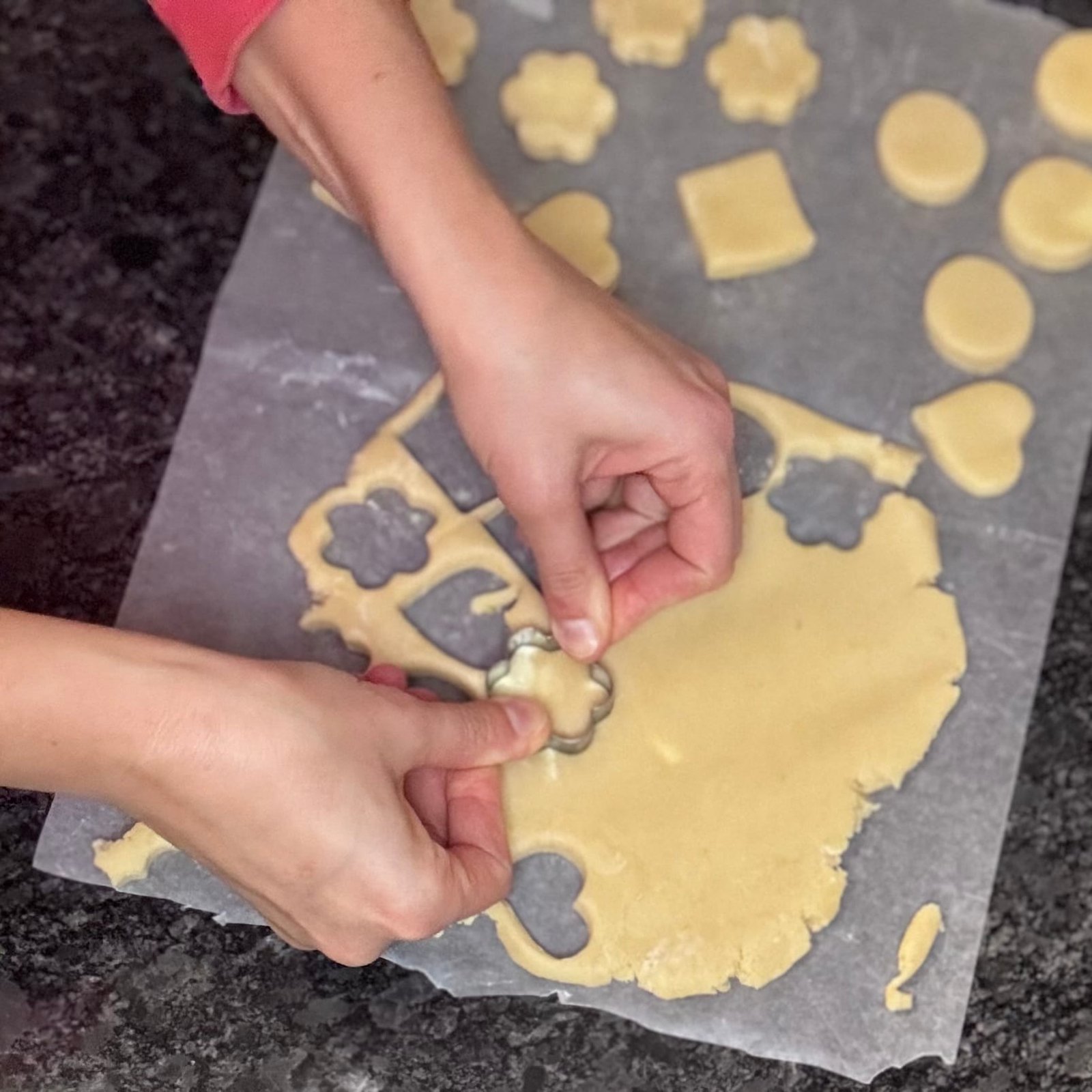 IMG_8482 cut cookies with cookiecutter