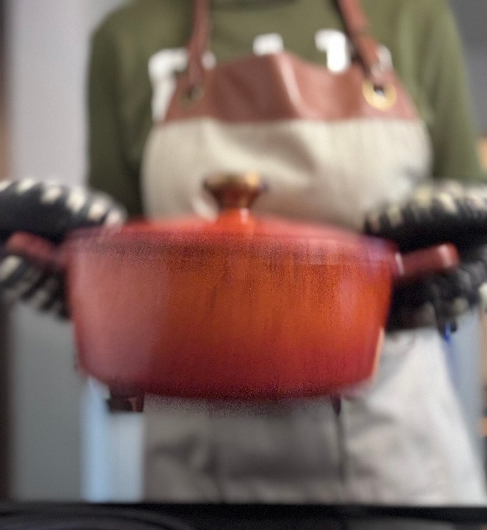 IMG_8770 shake the popcorn in a Dutch oven