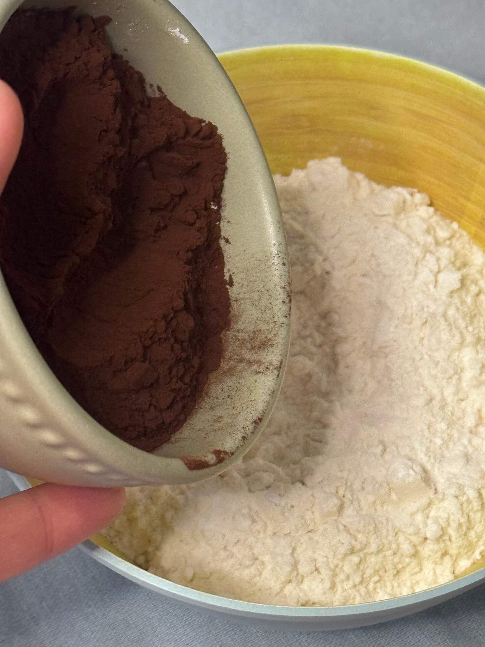 IMG_9205 add cocoa in flour