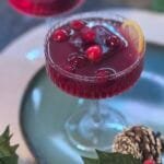 Pomegranate Gin and Tonic