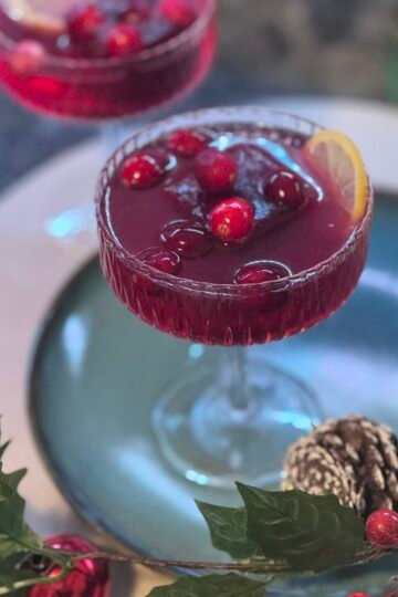 Pomegranate Gin and Tonic