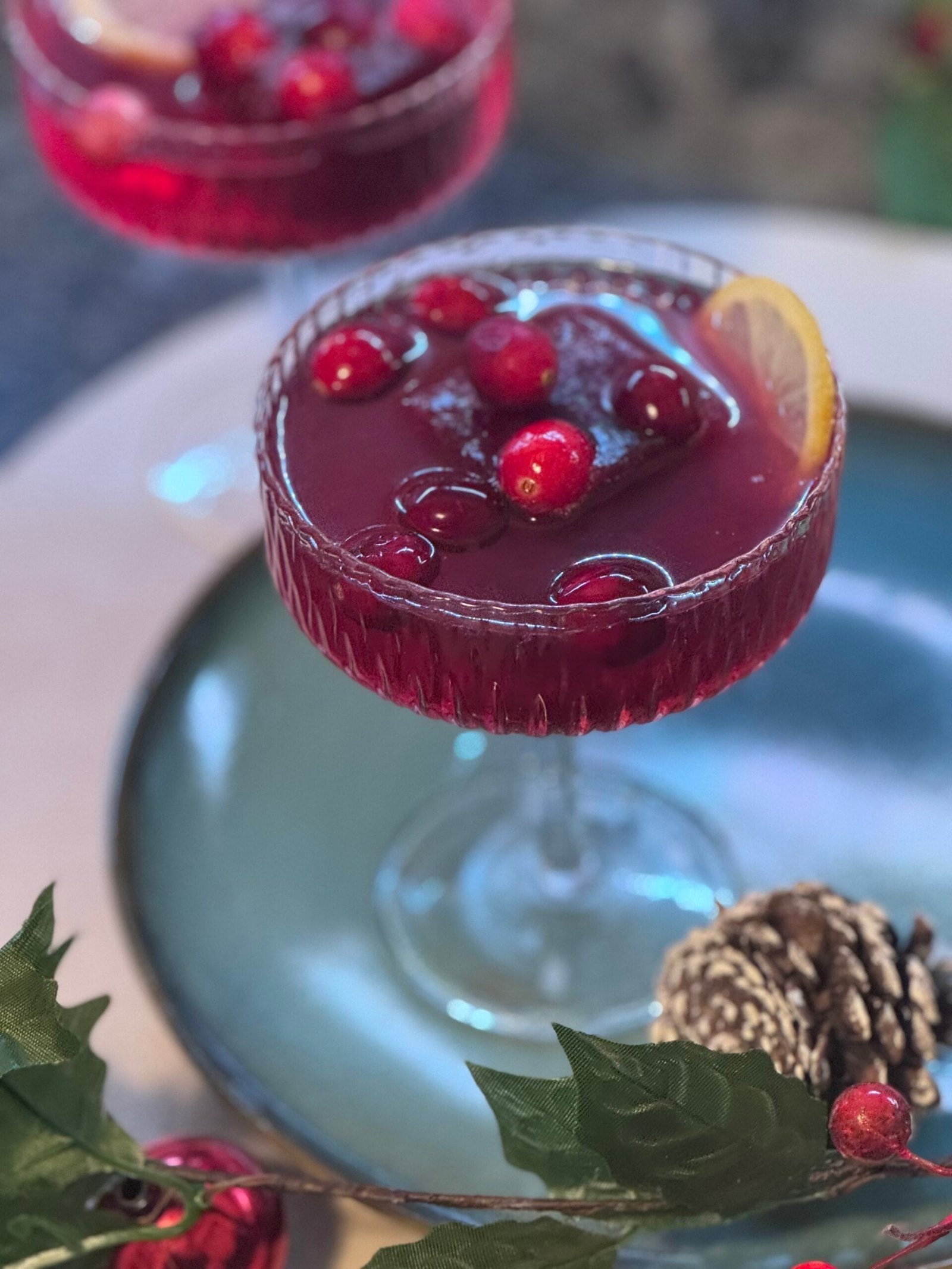 IMG_9268 Pomegranate Gin and Tonic