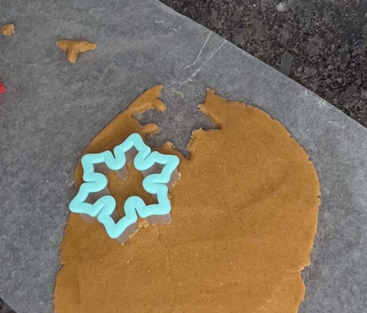 IMG_9372 shape cookies from a dough