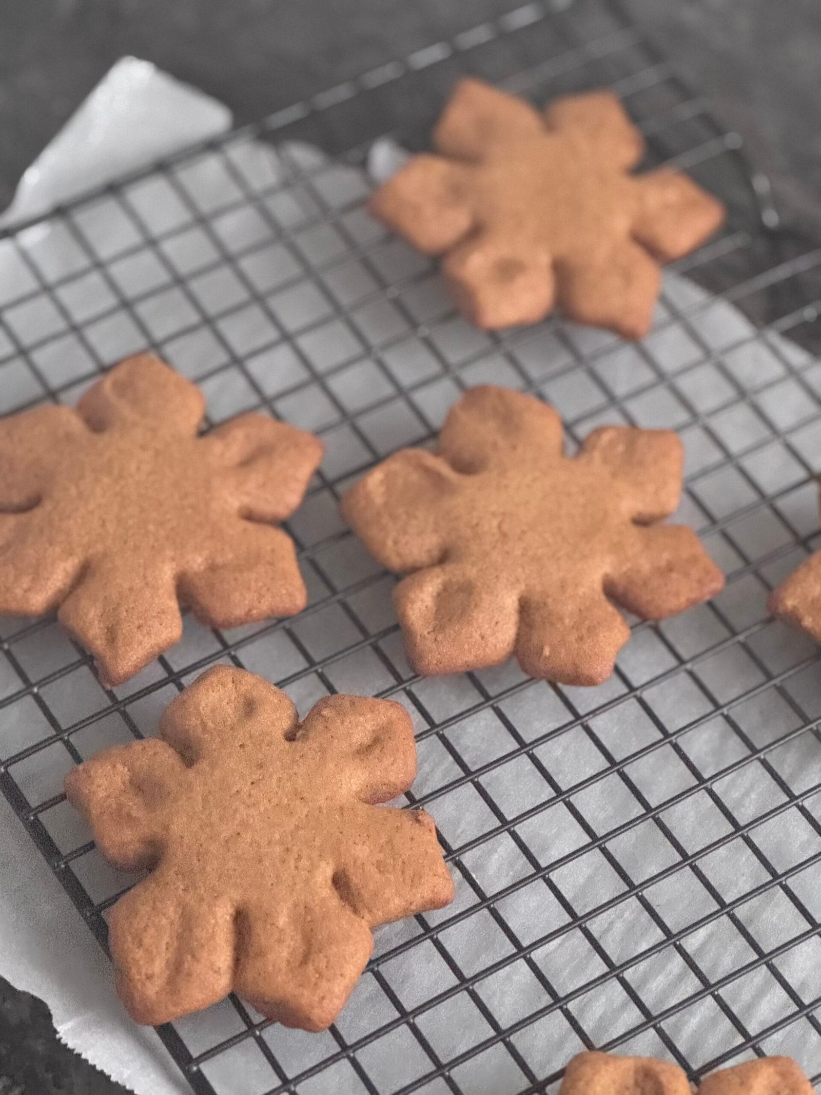 IMG_9375 baked gingerbread cookies on a tray