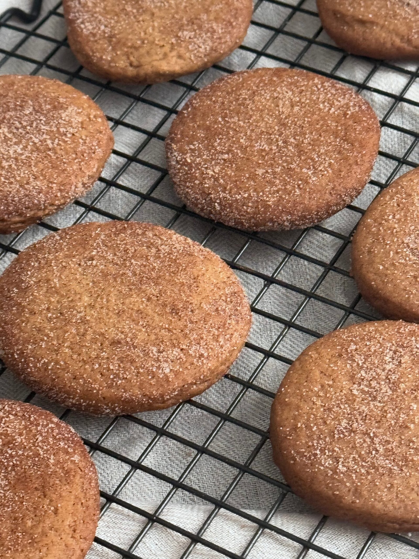 IMG_9383 sugar coat the cookies