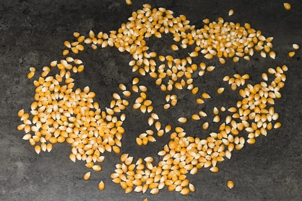 popcorn kernels