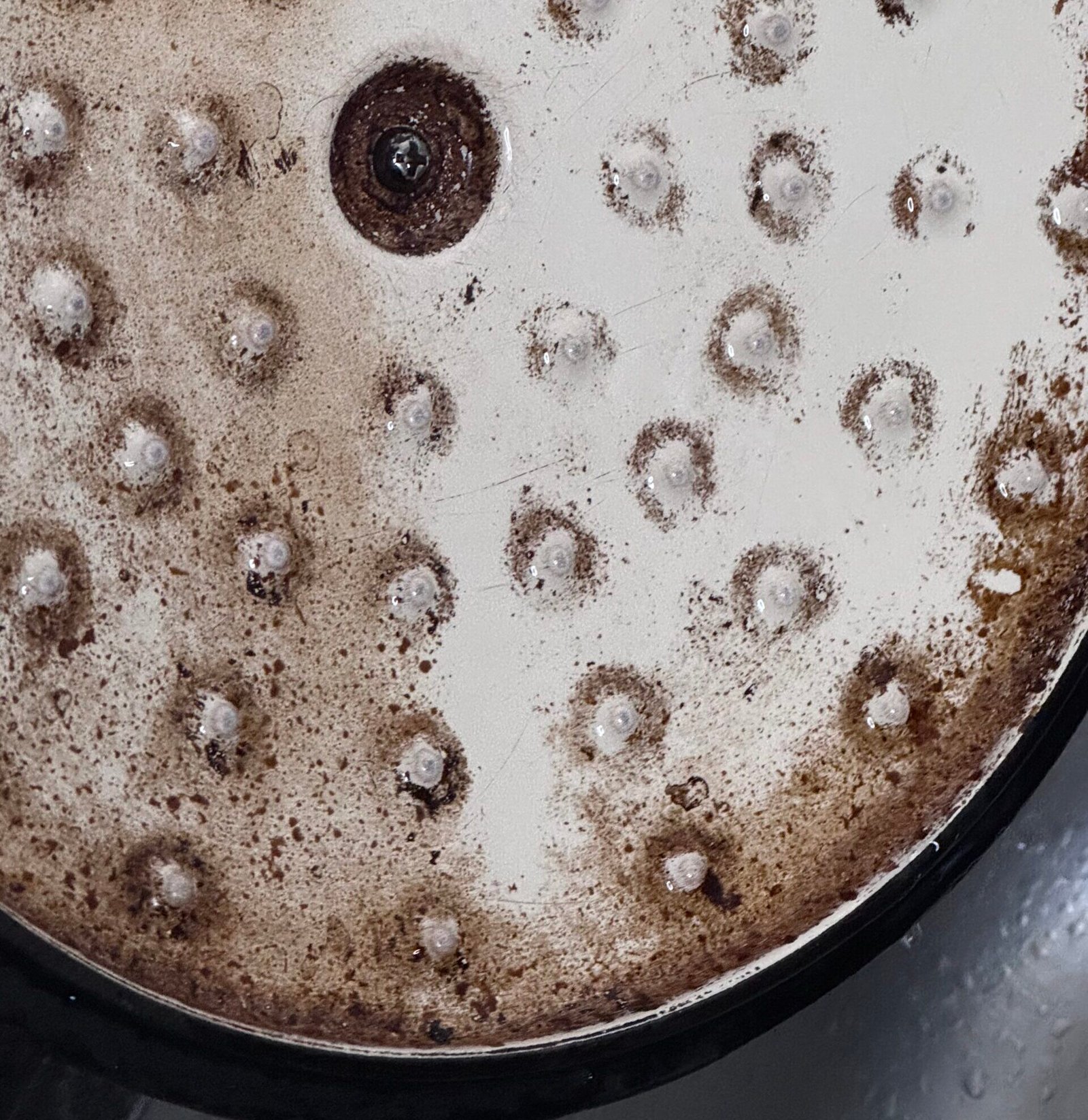 IMG_0003 dutch oven lid