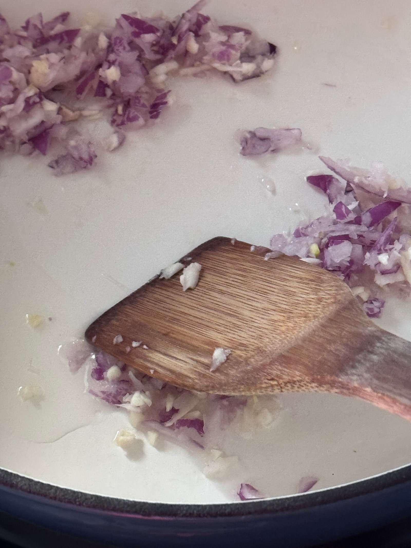 IMG_8894 chopped onions