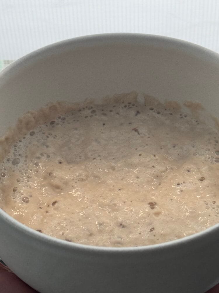 kvasec2 active yeast