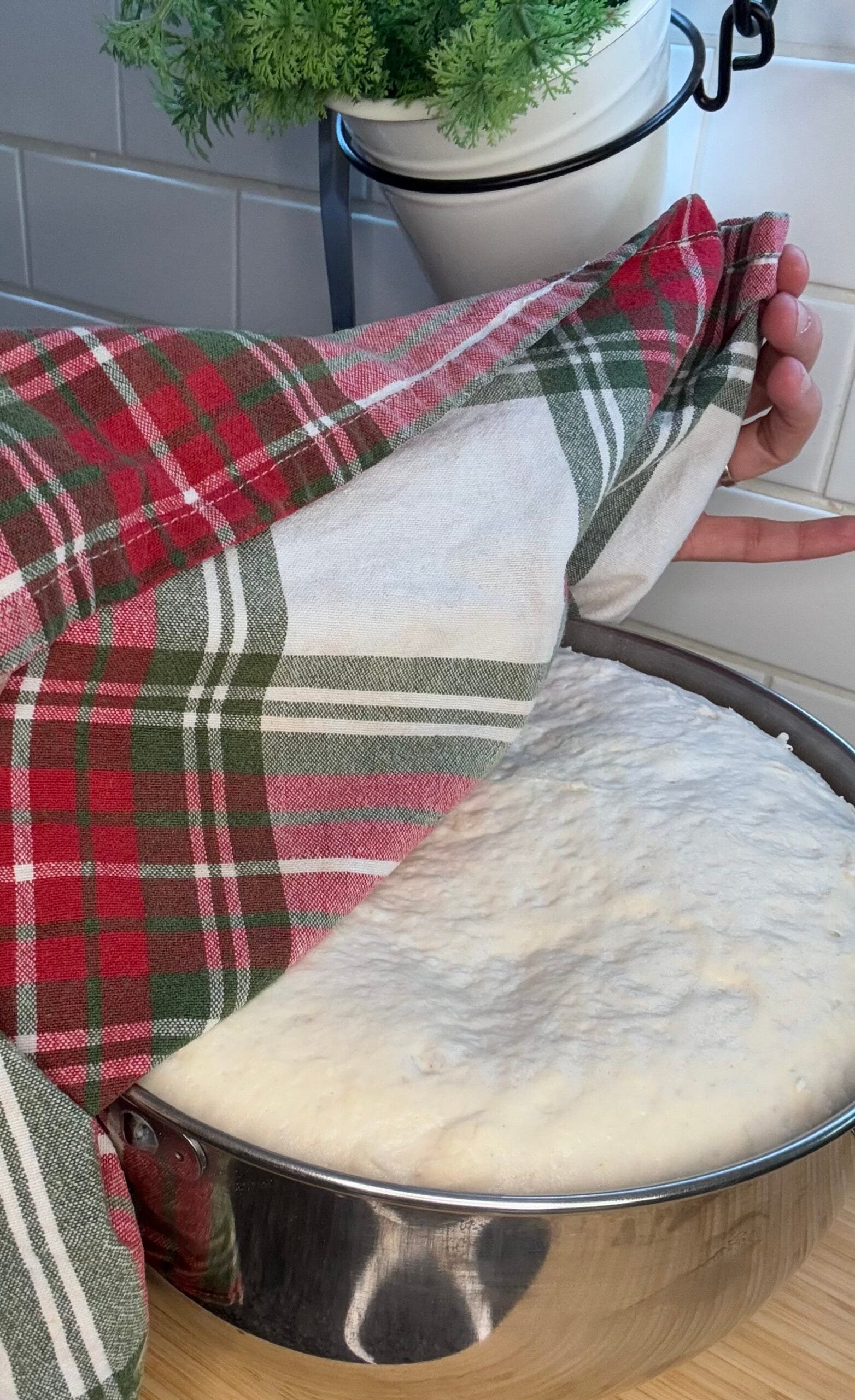 testo pokriv risen dough