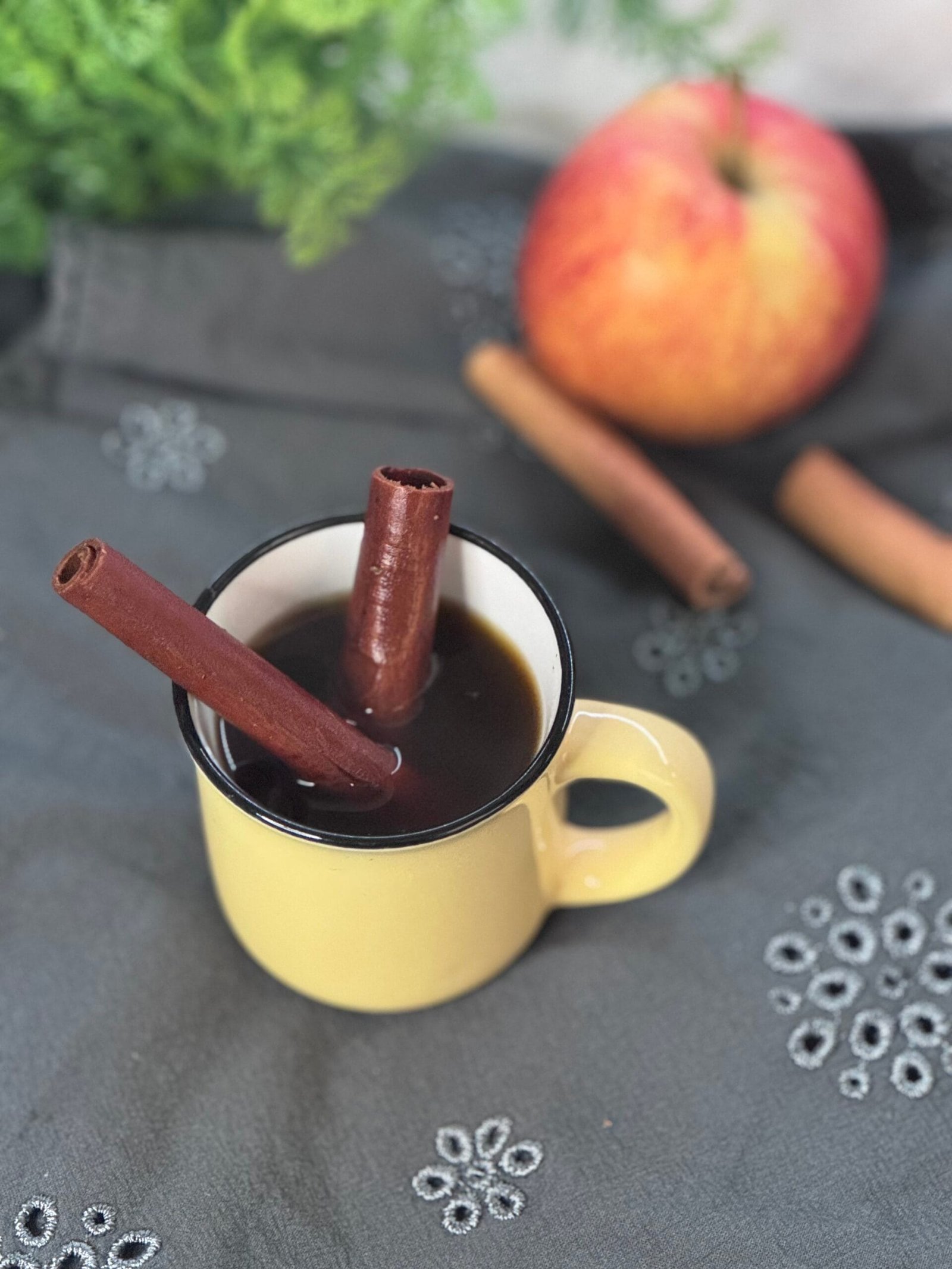 IMG_0298 spiced apple tea