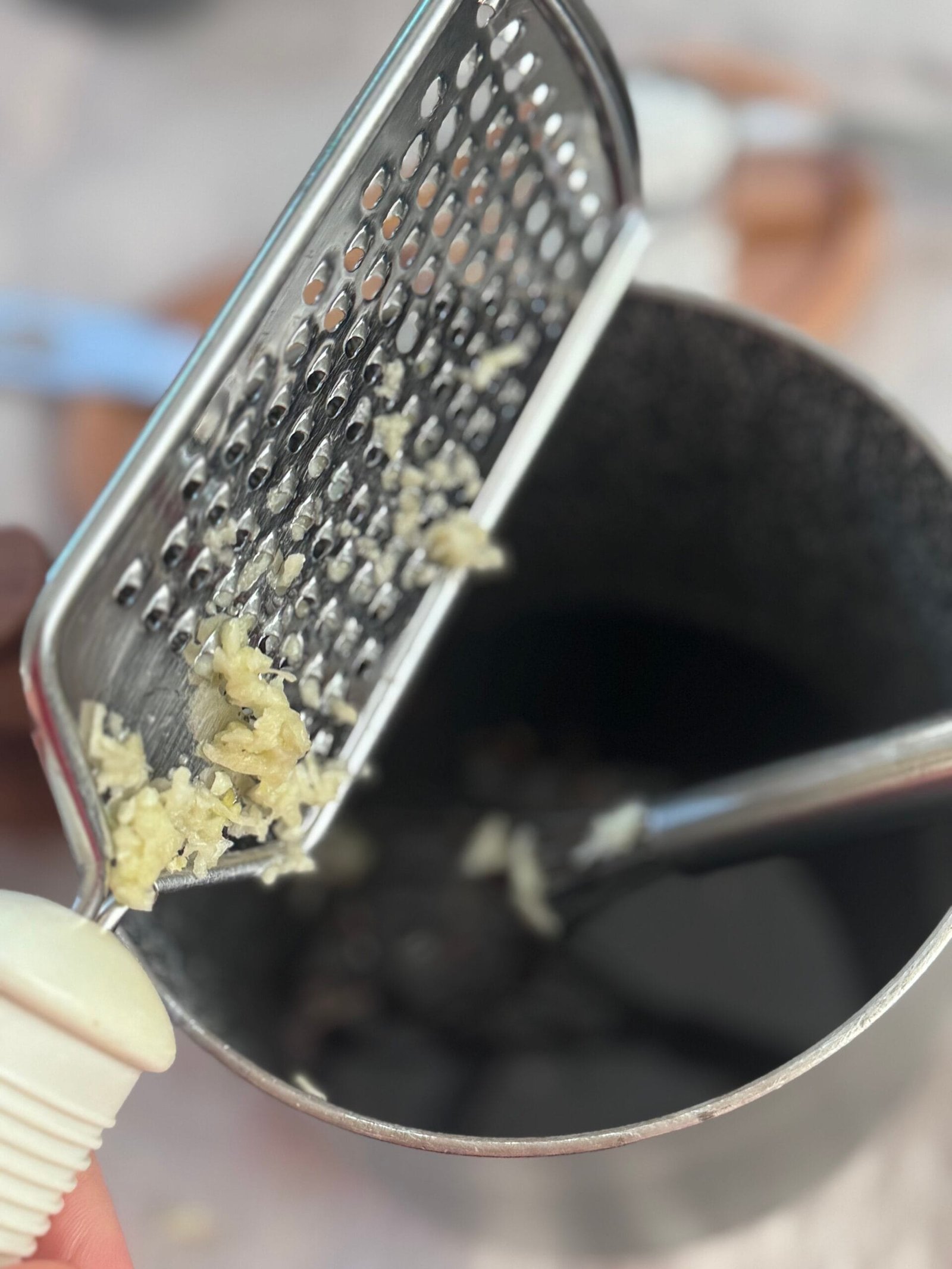 IMG_0961 add ginger and garlic minced