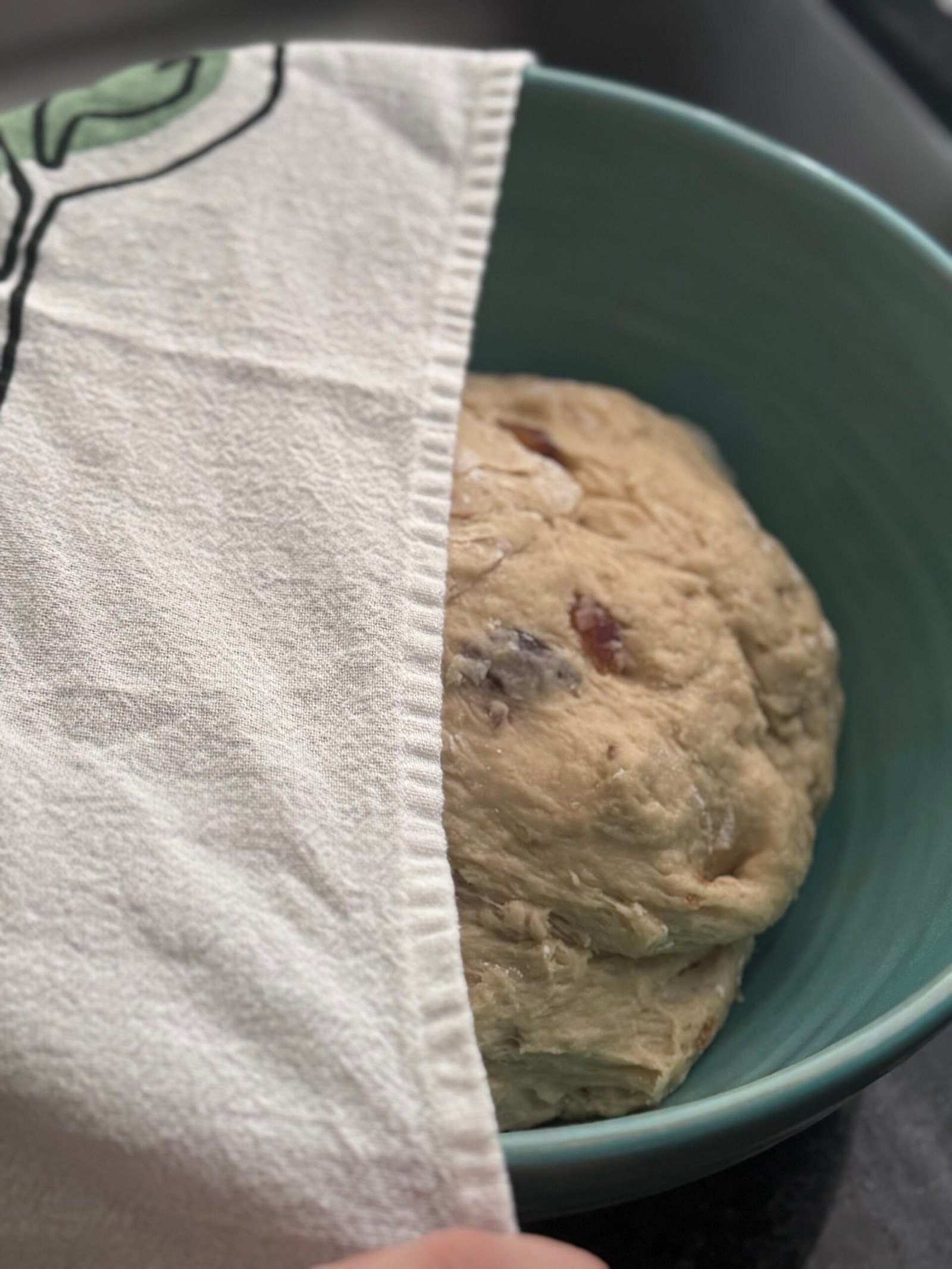 IMG_1309 cover with damp towel