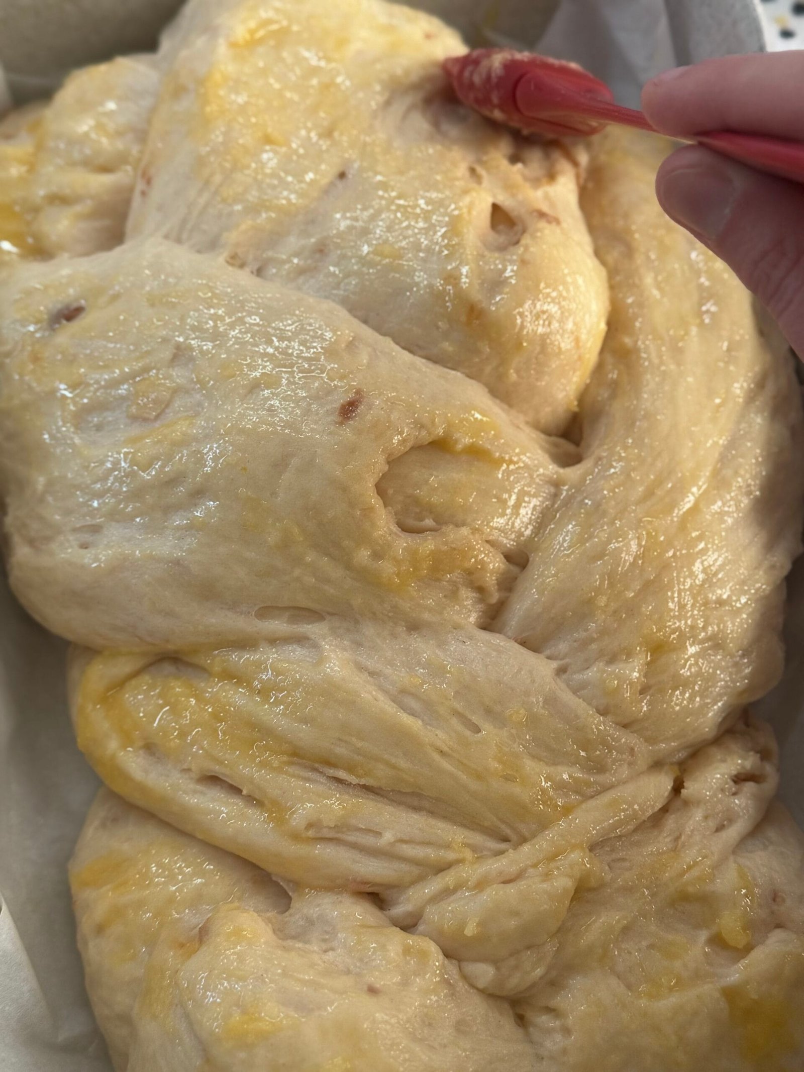 IMG_1326 brush with egg