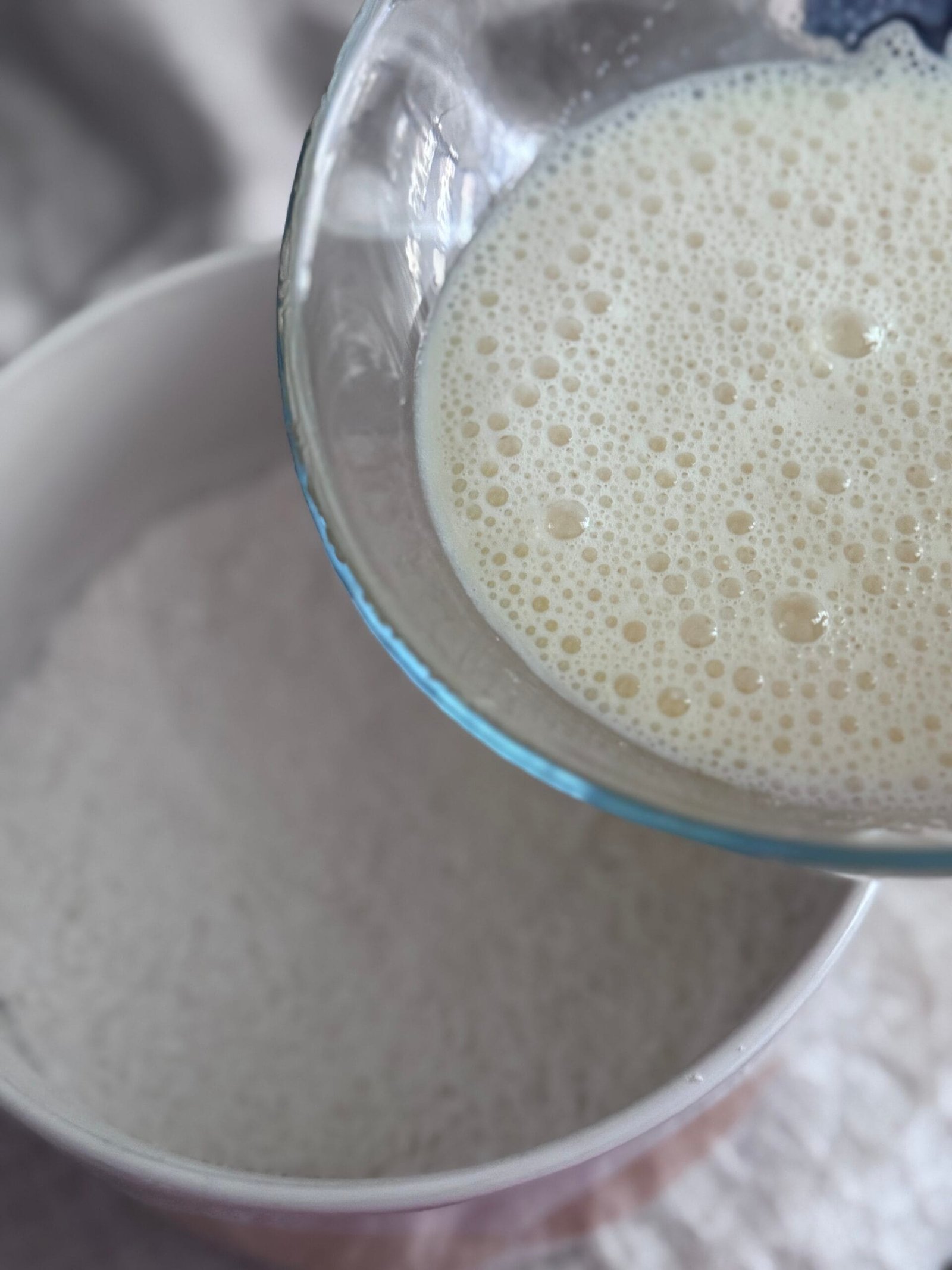 IMG_2305 add the batter in dry mix