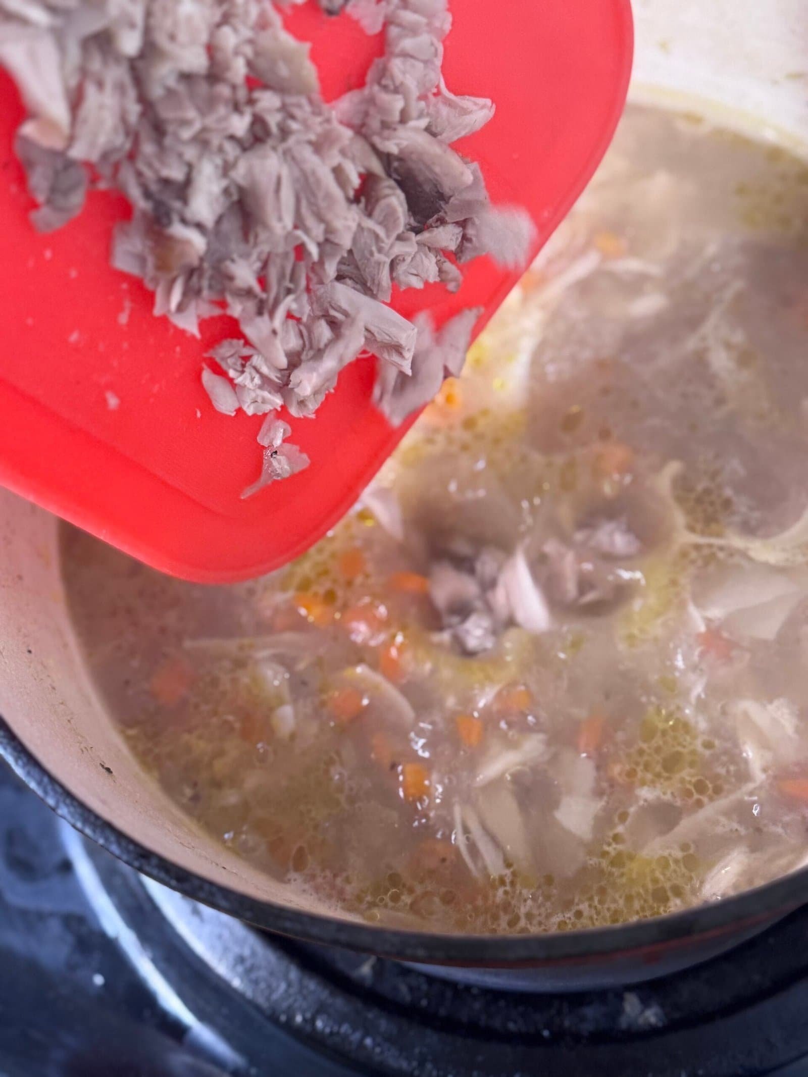 IMG_2599 add shredded chicken