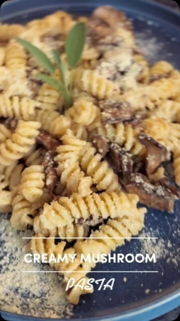I think we can all agree that life gets busy, and that it is getting harder and harder to find time for a good homemade meal. 

That is exactly why this creamy mushroom pasta is one of my top lifesavers. It is just the perfect dish for those hectic days when you want a good homemade meal, but you don’t have hours to spend in the kitchen. 

Here all you need is just 20 minutes, and you will have a comforting, flavourful creamy garlic and mushroom pasta – a pasta casserole that is easy to make. Plus, it is so rich and creamy goodness that the whole family will love it.

Comment “MUSHROOM PASTA” for recipe 👇

#pasta #mushroompasta #creampasta #easycooking