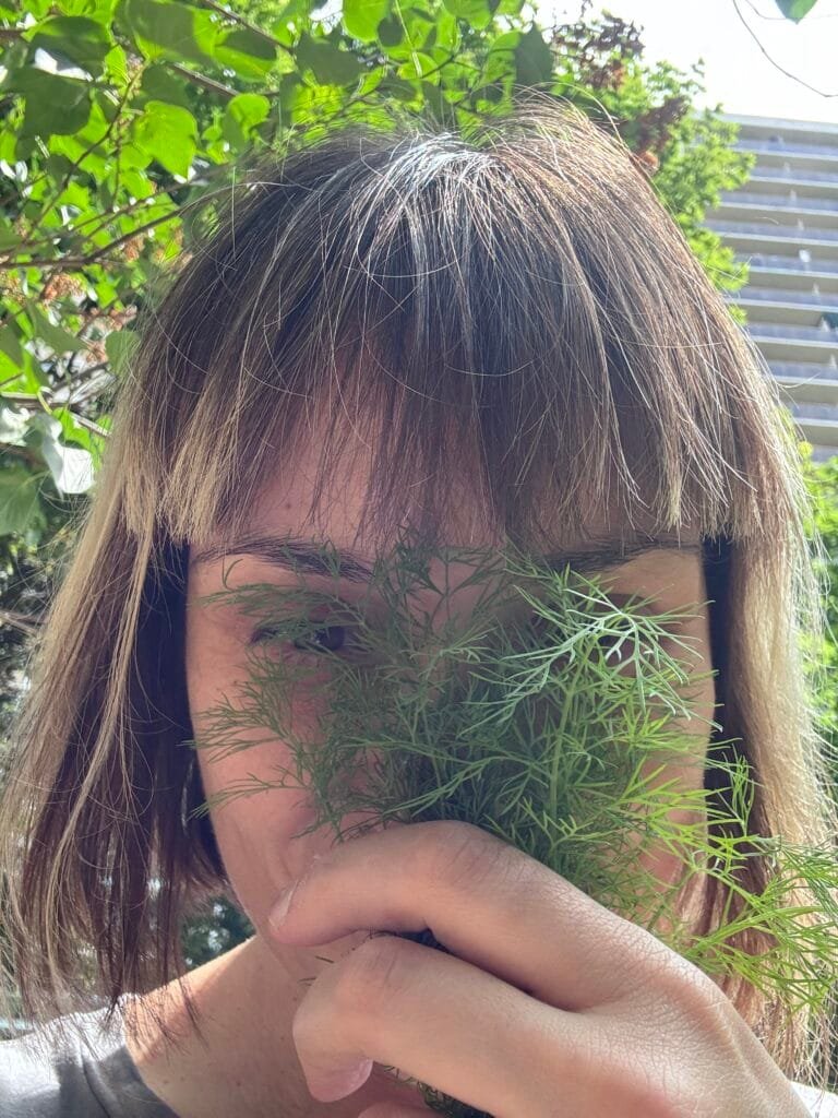 dill