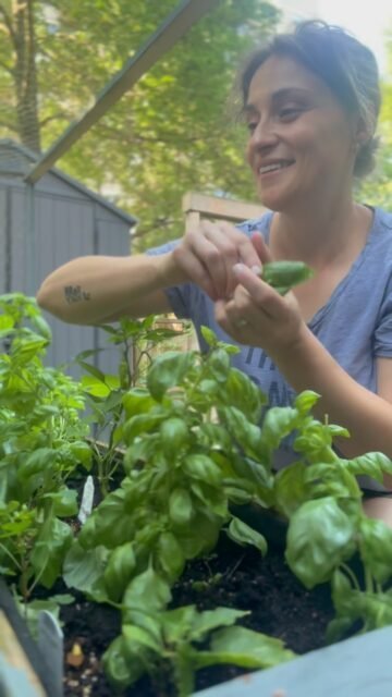 Guess what I’m making today?
I have loads of fresh basil from my little garden, so I decided to make chunky pesto today.
It is so fresh, delicious, chunky, and different in such a good way. Comment “PESTO” and I will send you the recipe 👇
#easycooking #kitchentips #affiliatelink #pestorecipe #italianrecipe
