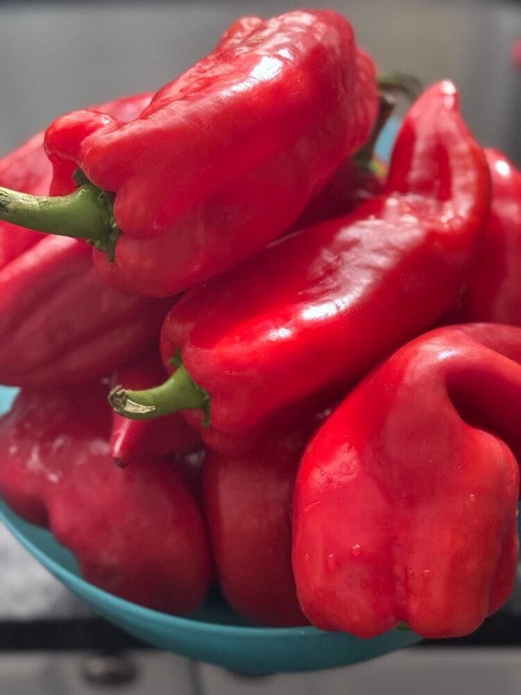 peppers dry the vegetables