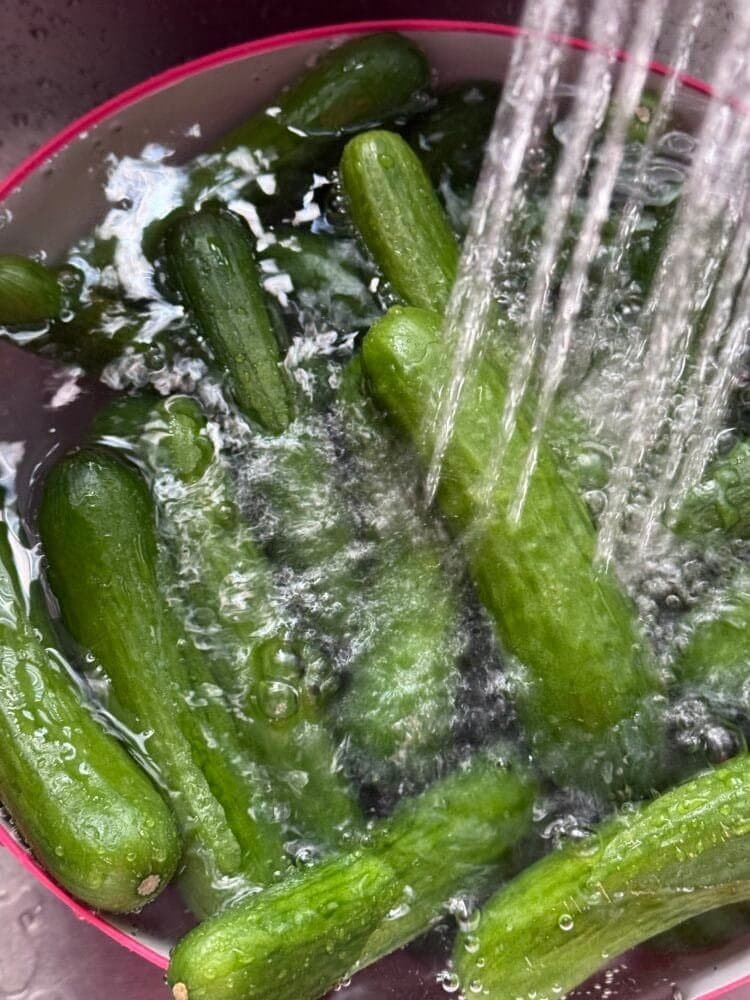 cucumbers wash the cucumbers