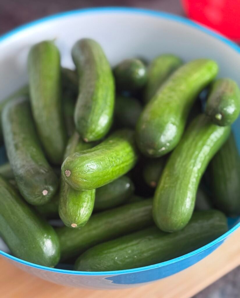 mini cucumbers
