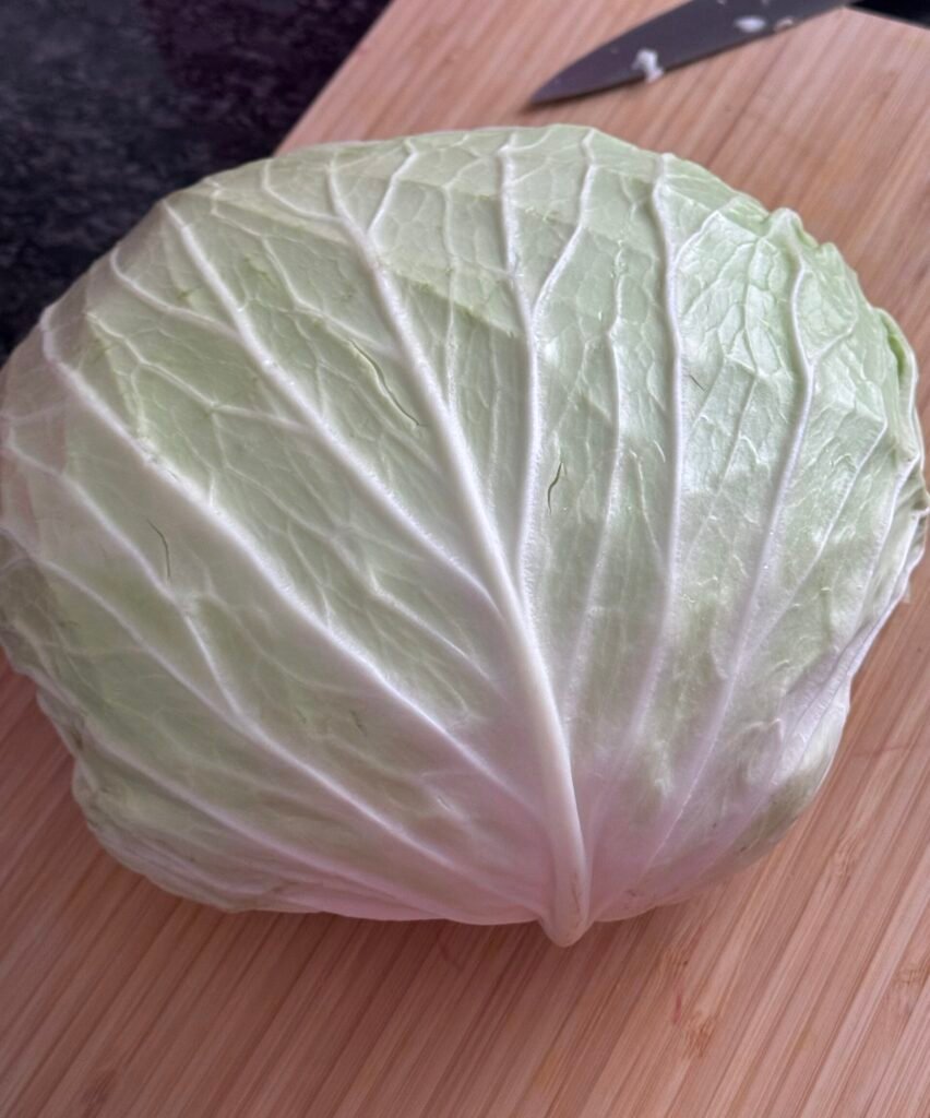 flat cabbage