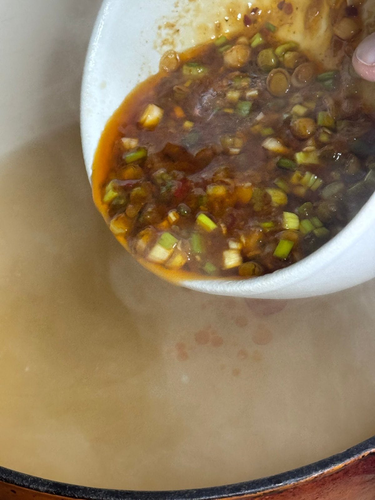 pour into broth add into broth