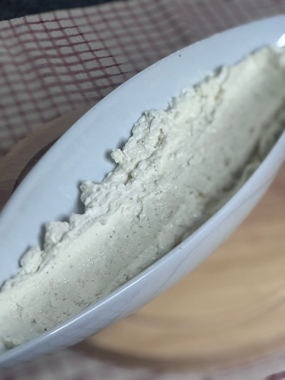 spread cheese in serving plate spread cheese in serving plate