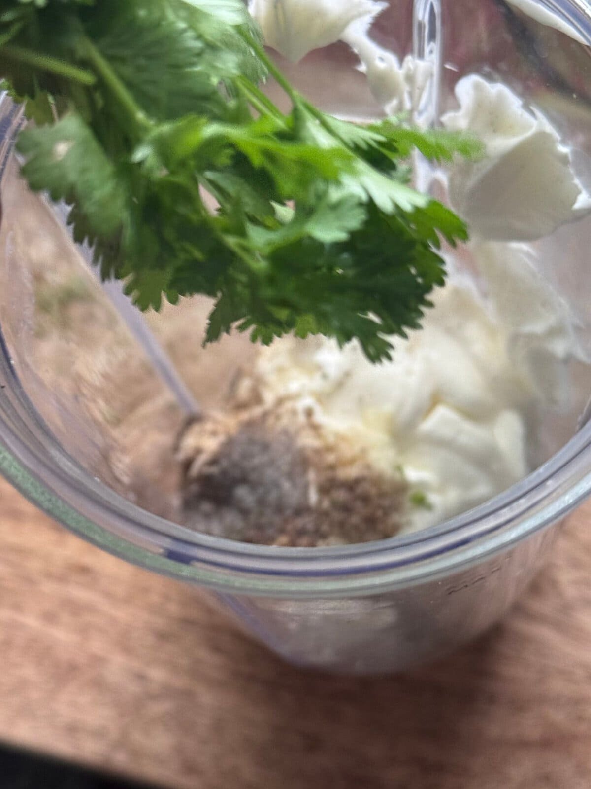 cilantro fresh cilantro