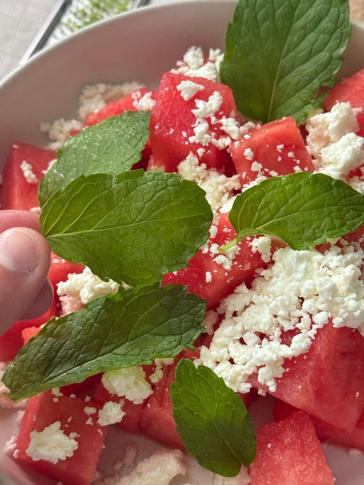 mint leaves add mint