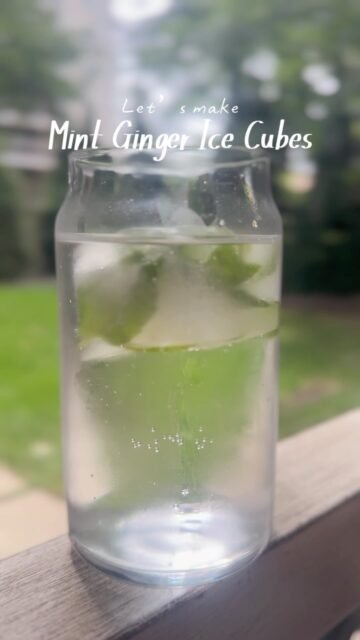 Ginger mint ice cubes bring cocktail ice cubes, mocktails, and fizzy drinks to life. Simple to make, ready when you need them.

Comment “ICE” for details 👇
#icecubes #drinks #affiliatelink #easycooking