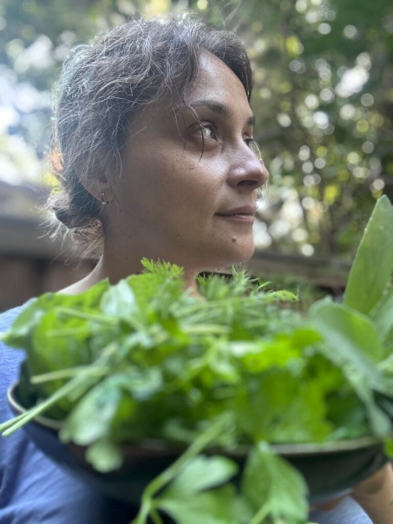 herbs