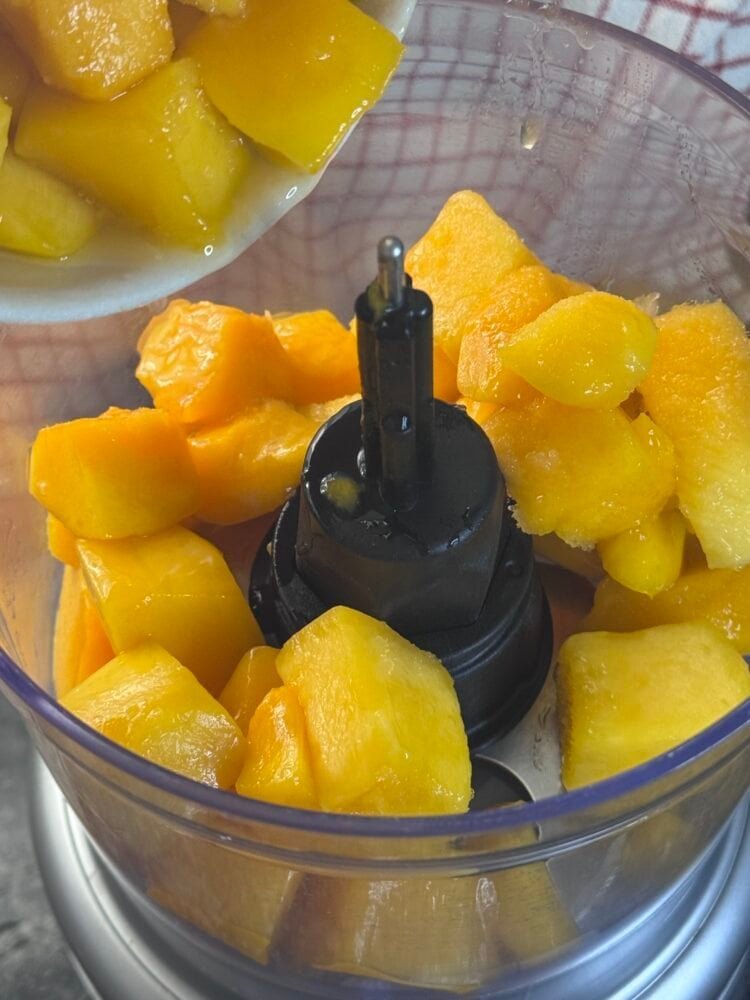 blend mango mango in blender