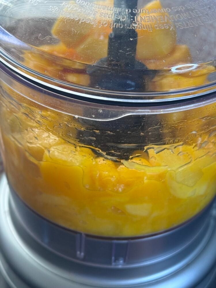 blend mango blend mango