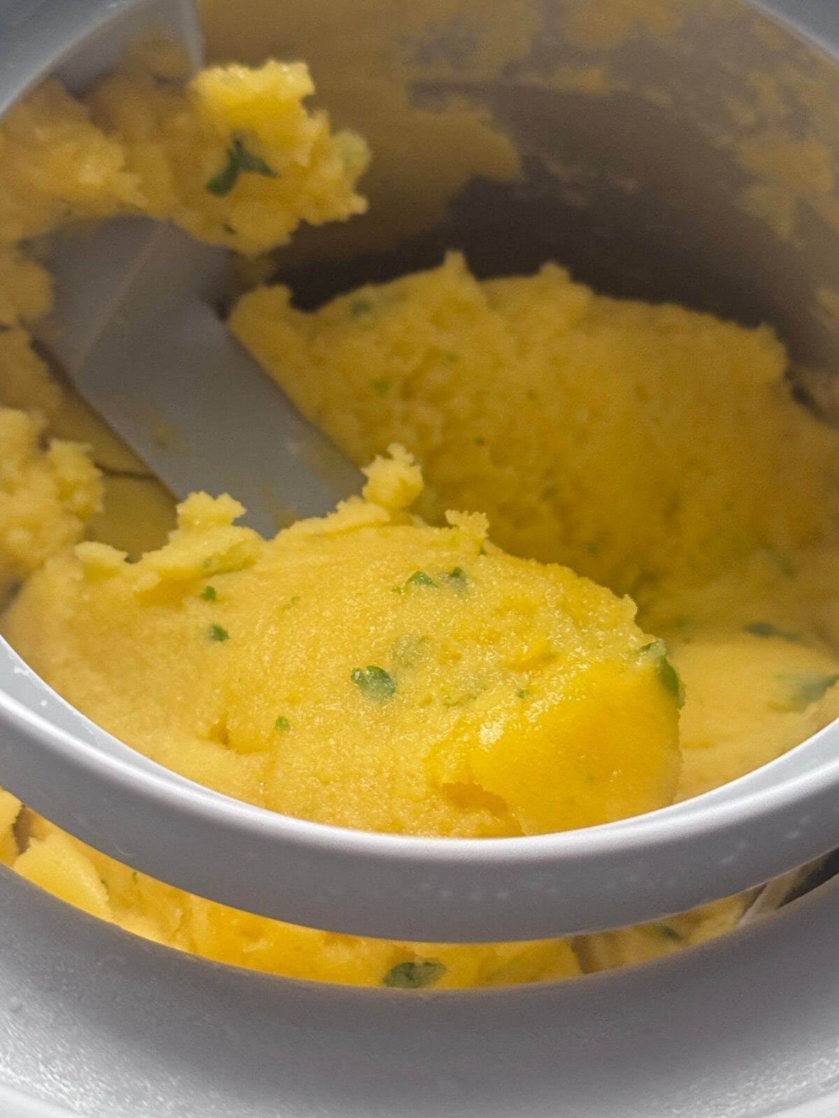 mango sorbet mango sorbet